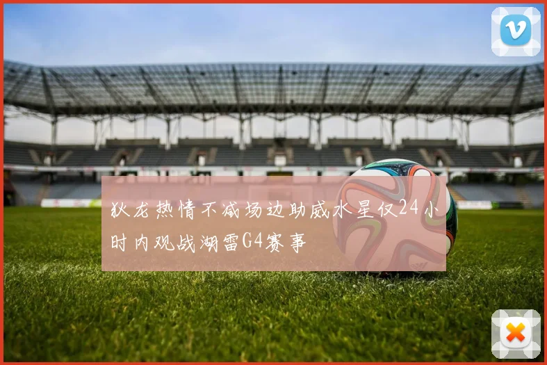 狄龙热情不减场边助威水星仅24小时内观战湖雷G4赛事