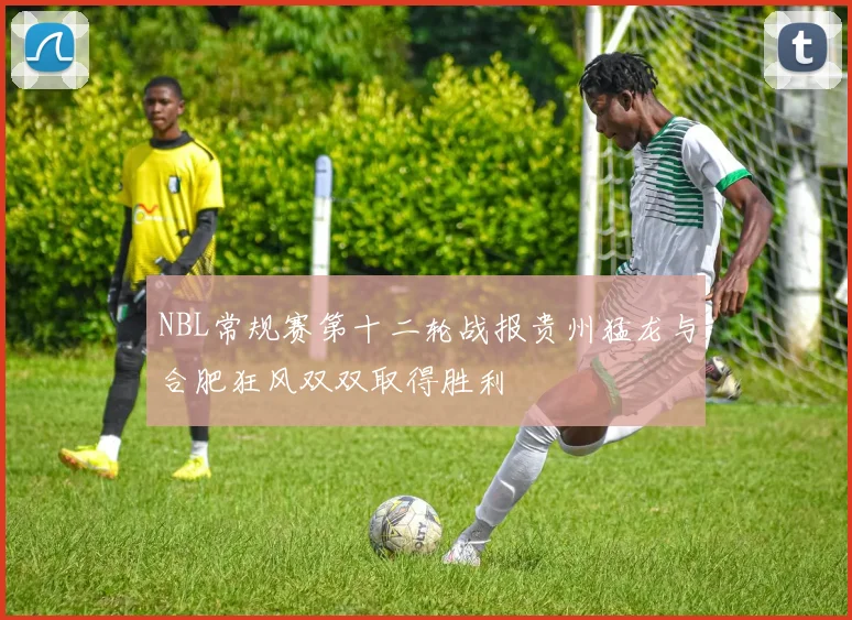 NBL常规赛第十二轮战报贵州猛龙与合肥狂风双双取得胜利